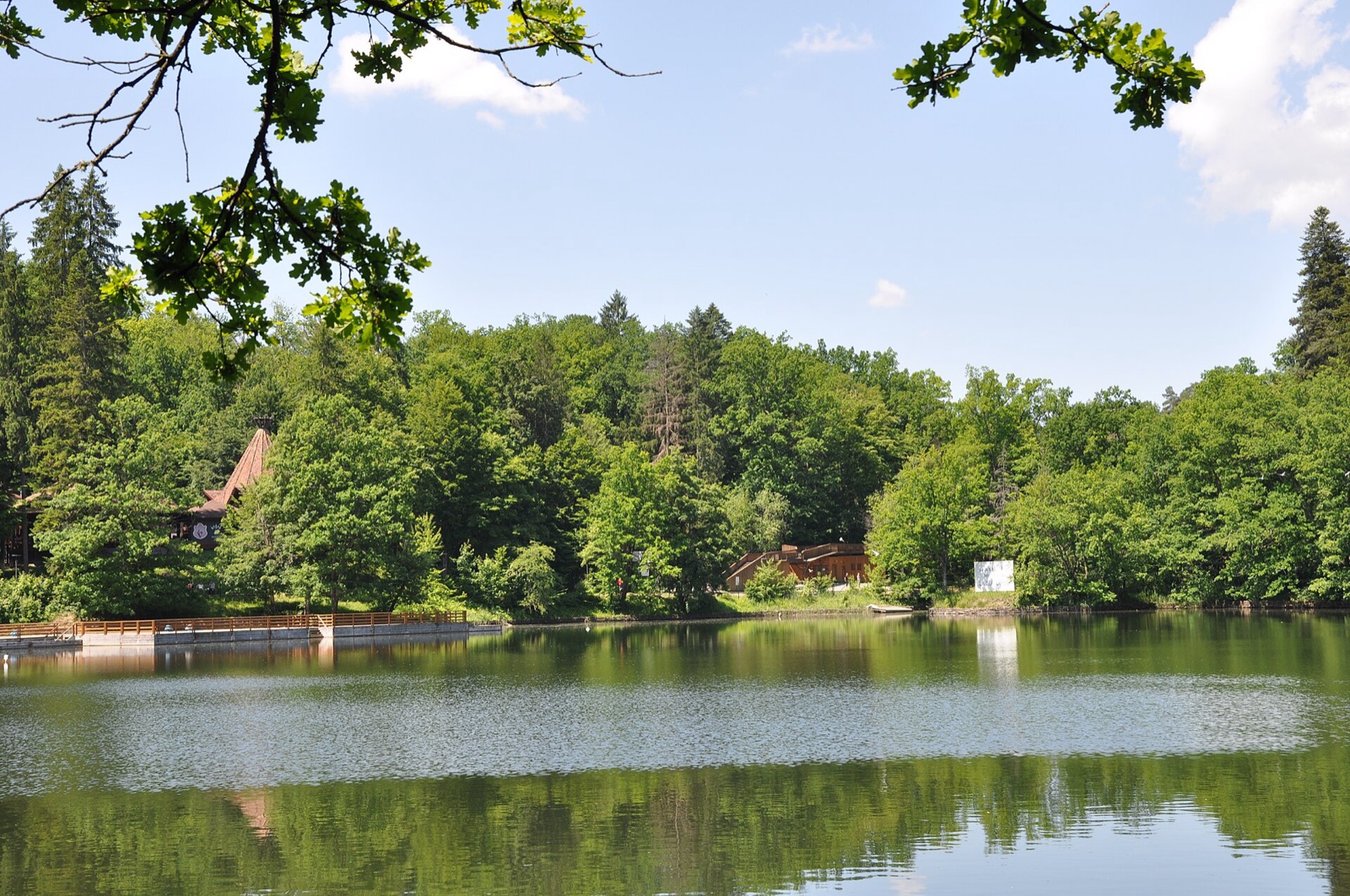 Lacul Ursu văzut de pe mal, cu dealurile împădurite